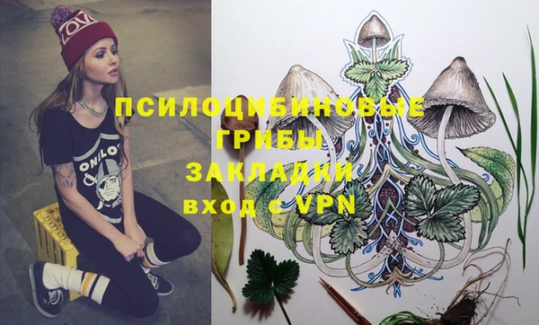 винт Каменногорск