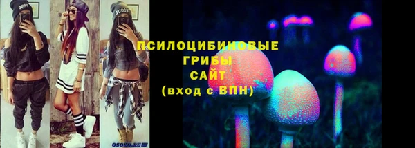 мескалин Каменка