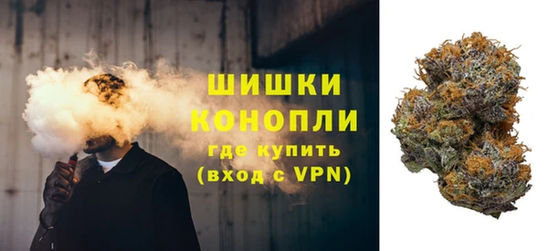 СК Инта