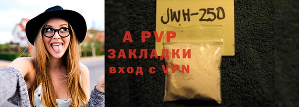 СК Инта