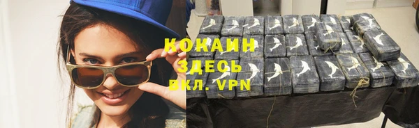 СК Каменск-Шахтинский