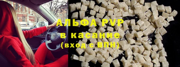 СК Инта