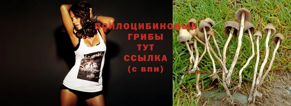 винт Каменногорск